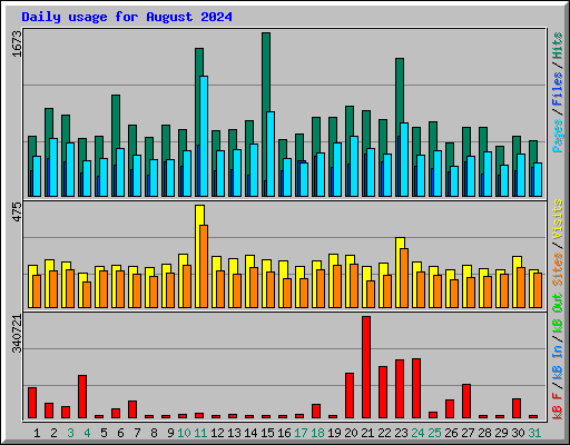 Daily usage for August 2024