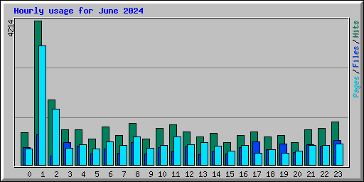 Hourly usage for June 2024