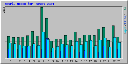 Hourly usage for August 2024