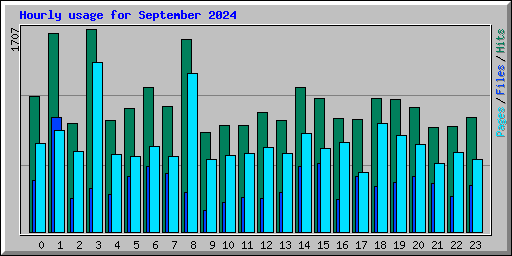 Hourly usage for September 2024