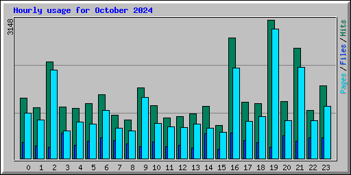 Hourly usage for October 2024