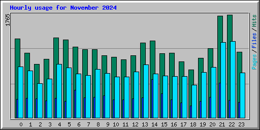 Hourly usage for November 2024