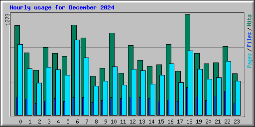 Hourly usage for December 2024